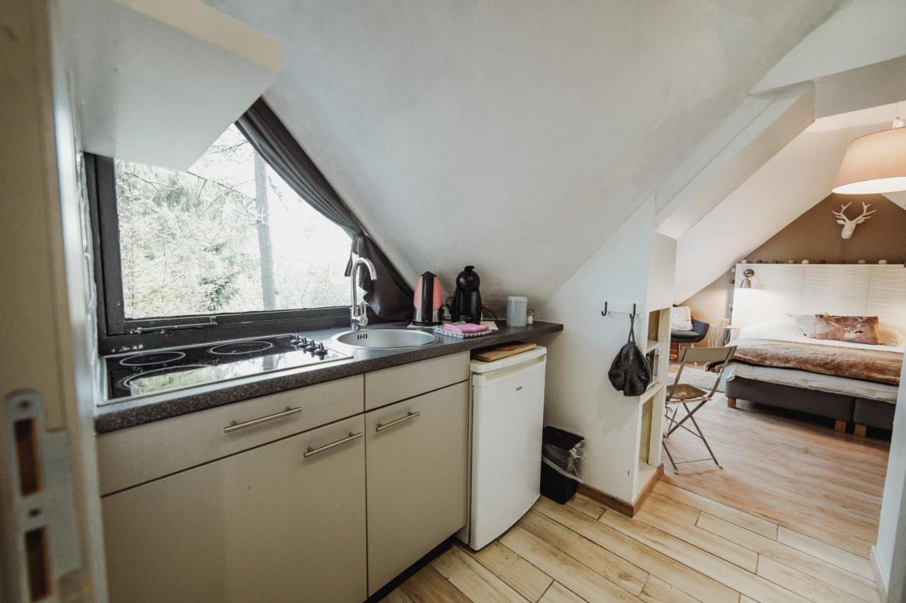 Chalet Scandinave Avec Sauna Ir - In The Woods Gesves Экстерьер фото
