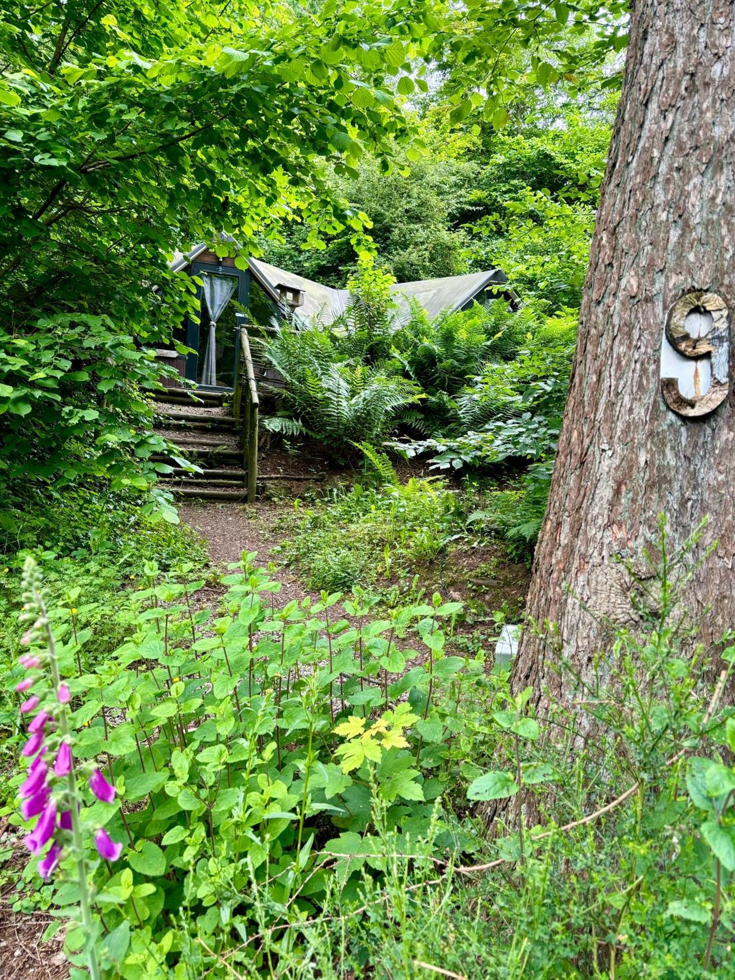 Chalet Scandinave Avec Sauna Ir - In The Woods Gesves Экстерьер фото